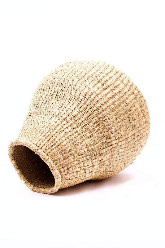 Bolga (v)